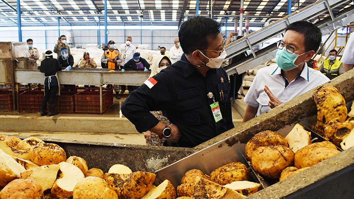 Kementerian Pertanian Janji Kembamgkan Industri Porang di Madiun