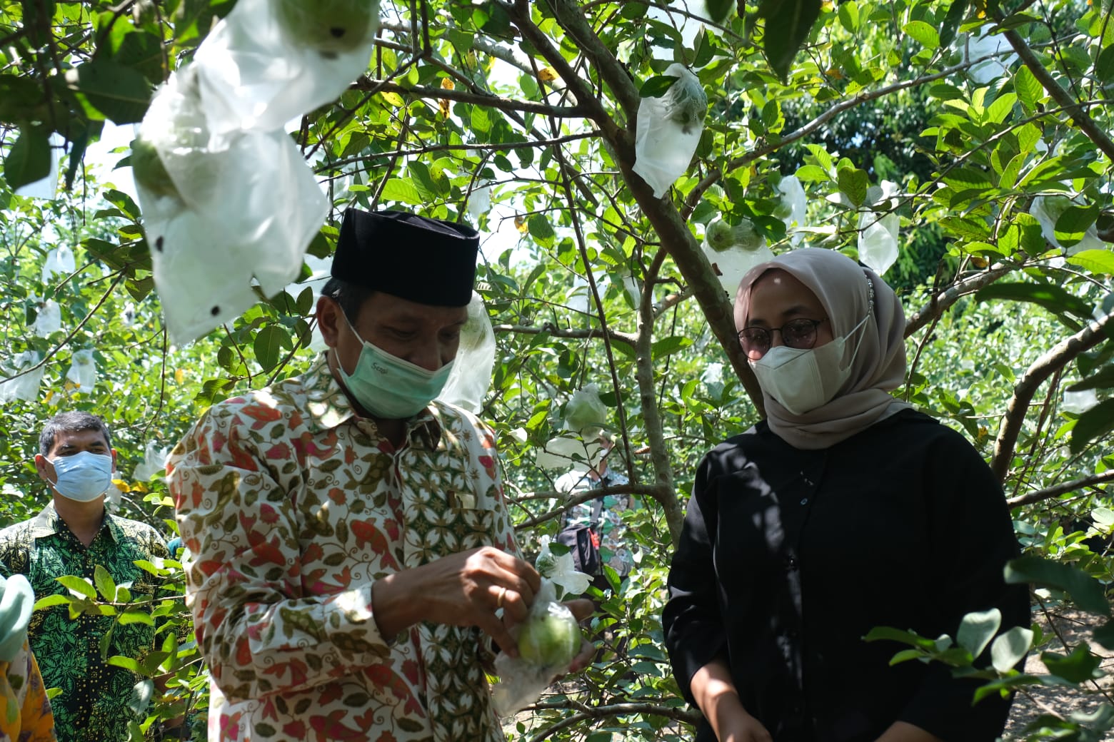 Tak Kurang Akal, Wanita Cantik di Bojonegoro Ini Jual Jambu Kristal Secara Online