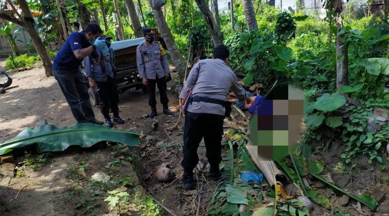 Memanjat Pohon Kelapa, Warga Blitar Tewas Terjatuh