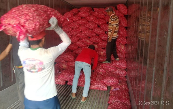 55 Ton Bawang Merah Probolinggo Diekspor ke Thailand