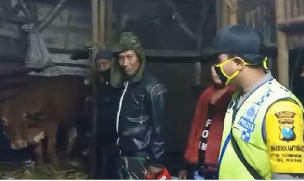 Komplotan Maling Sapi Jember Dibekuk Polisi