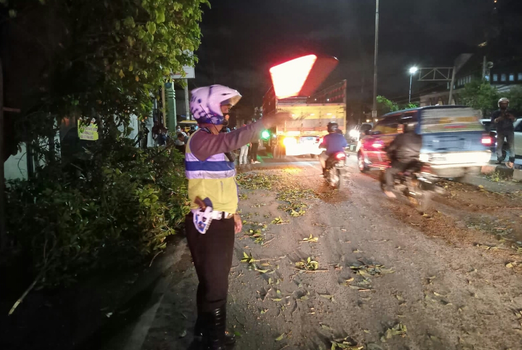Tertimpa Pohon, Warga Sukodono Sidoarjo Meninggal Dunia