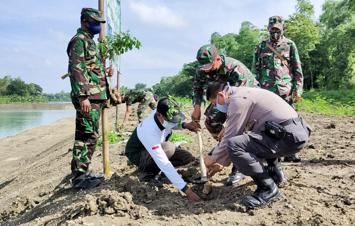 Kodim 0813 Bojonegoro dan Perhutani KPH Bojonegoro Gelar Penghijauan Desa dengan 2.000 Pohon