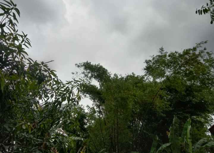 Hujan Lebat, BPBD Bojonegoro Imbau Warga Waspada Banjir Bandang