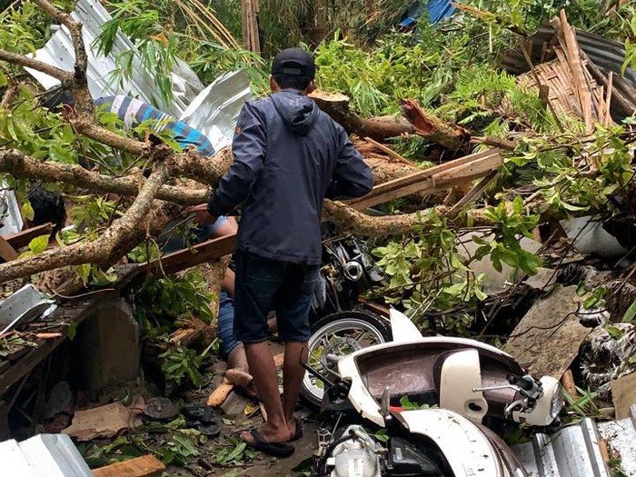 Pohon Besar Roboh Timpa Warkop di Trawas, 2 Tewas 7 Luka Berat