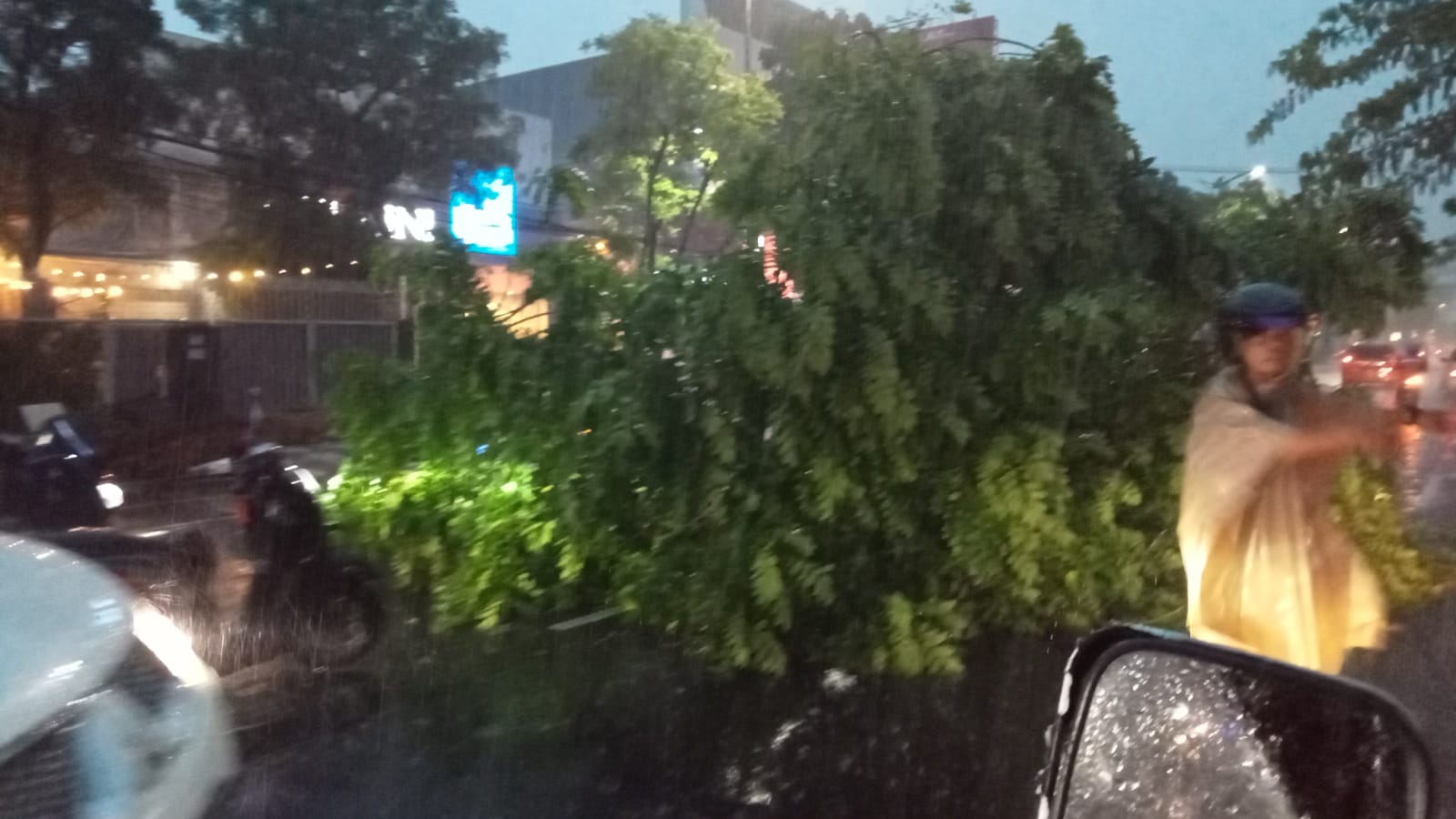 Diguyur Hujan Deras Angin Kencang, Kota Surabaya Dikepung Banjir dan Pohon Tumbang 