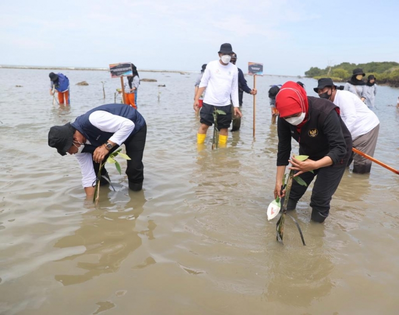 Kejar Target Kurangi Emisi Gas Rumah Kaca, Khofifah Ajak Tanam Mangrove