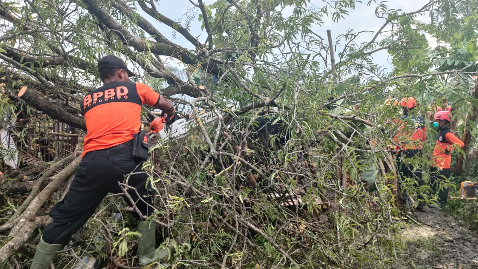 Puluhan Rumah di Ponorogo Diterjang Angin Puting Beliung