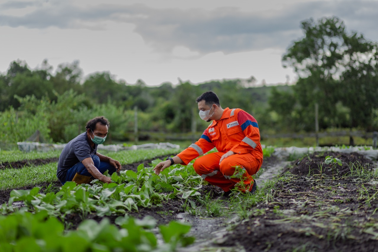 Regional Kalimantan Subholding Upstream Pertamina Borong Lima Penghargaan Proper Emas 2021