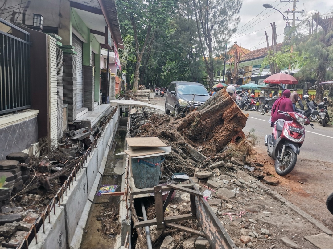Cegah Pohon Tumbang, DLH Gresik Sambat Kendala SDM dan Alat Sarpras 