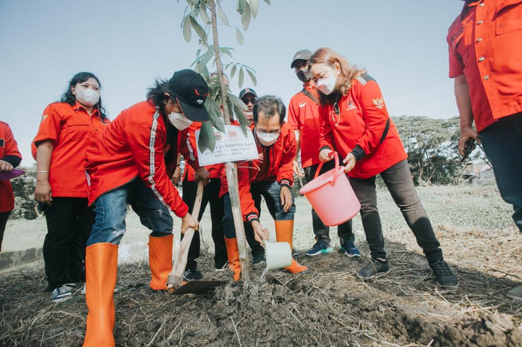 Ultah Megawati, PDIP Surabaya Tanam Pohon di Bantaran Sungai