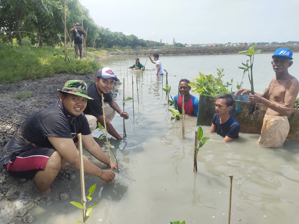 Cargill Gresik Lanjutkan Aksi Tanam Kedua Mangrove Kalimireng