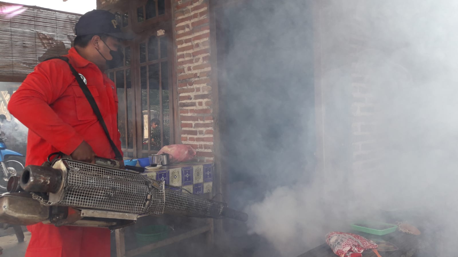 27 Warga Tulungagung Positif DBD, 1 Meninggal Dunia