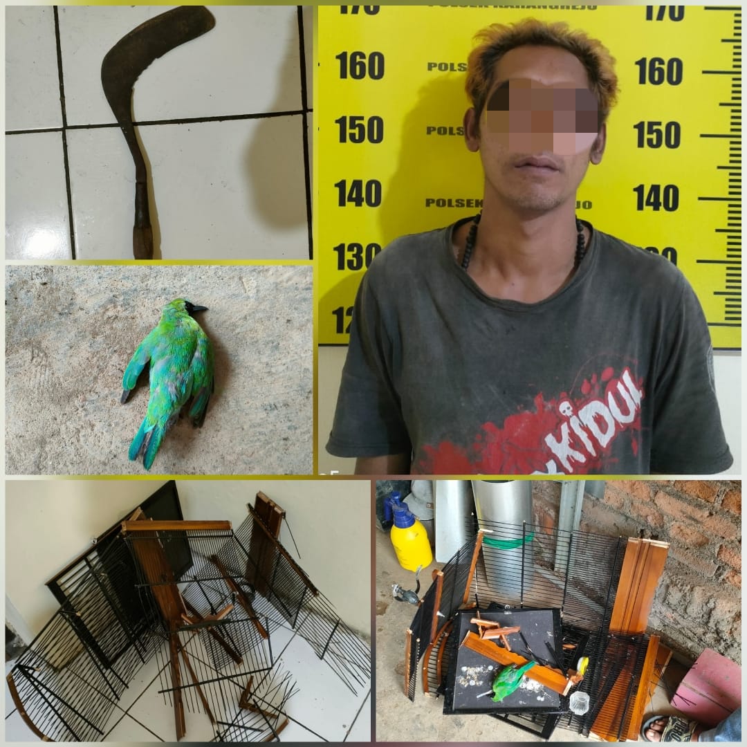 Awalnya Saling Tatapan Mata, Cekcok Adik dan Kakak di Tulungagung Berakhir ke Polisi