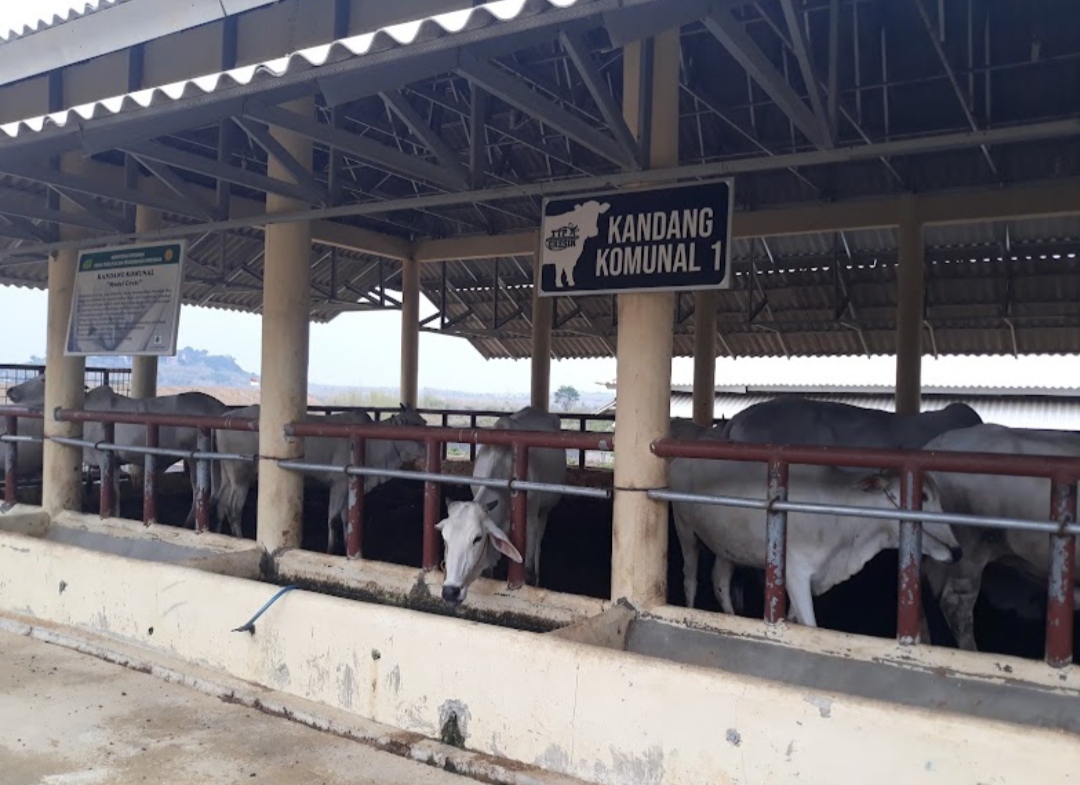 Wilayah Sekitar Waduk Sukodono Panceng Dipastikan Batal Jadi Kawasan Industri