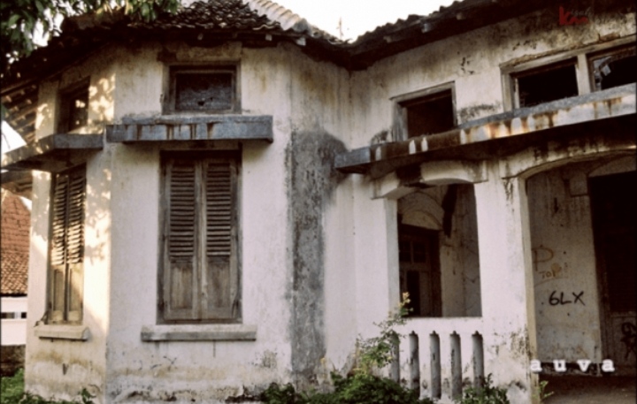 Part II | Kisah Mistis di Basecamp KKN : Jatuh dari Pohon