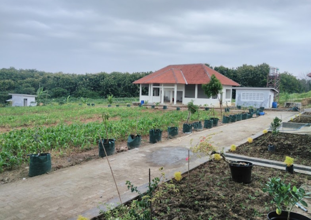 TTP Gresik Suplai Bibit Unggul Produk Pertanian, Untuk Genjot Produksi Pangan