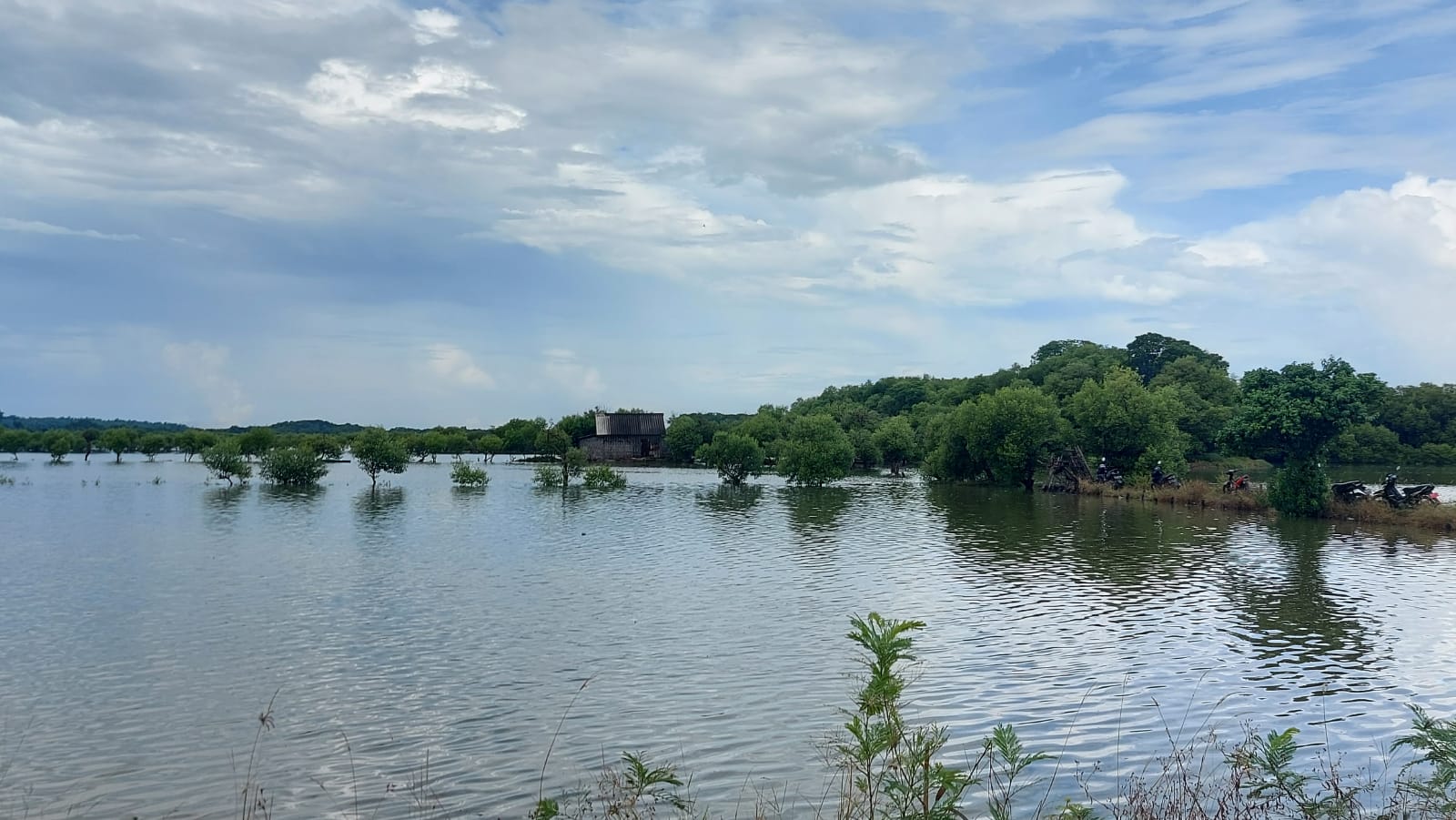 Cegah Banjir Rob Gresik, Perlu Dibangun Break Water Sepanjang 15 Km, Namun Anggaran Tak Ada