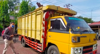 BKSDA Jatim Minta Kasus Illegal Logging Sonokeling di Pasuruan Diusut