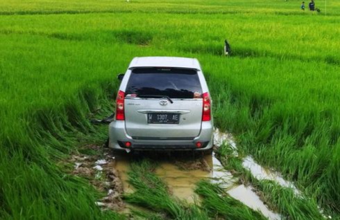Tabrak Motor, Avanza Warga Gresik Nyungsep ke Sawah di Jalan Jrengik Sampang