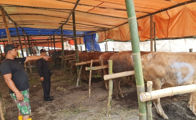 Idul Adha 2022, PT RMS Sembelih Puluhan Sapi