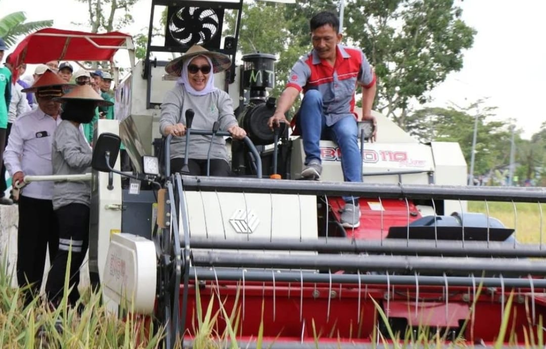 Bupati Bojonegoro Bakal Berikan Bantuan Combine Bagi Kelompok Tani