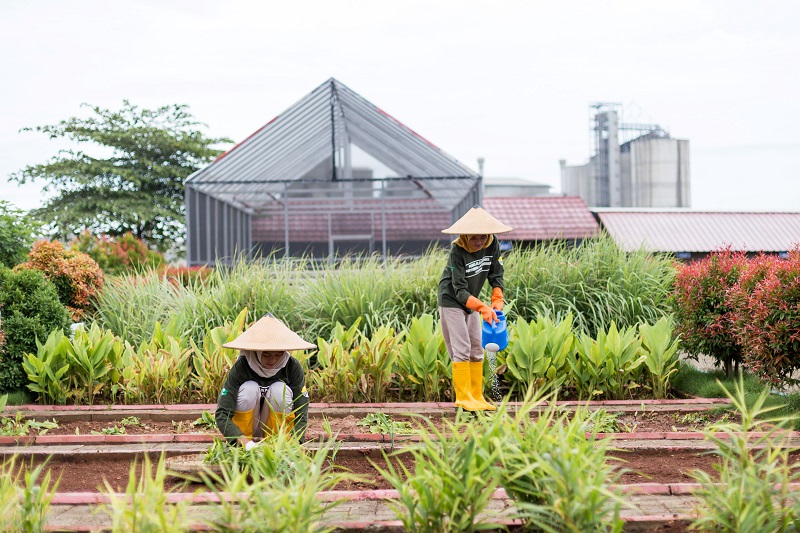 Sistem Pertambangan PT Semen Gresik Pabrik Rembang Raih Predikat Terbaik 1 Penghargaan Good Mining Practice 2023