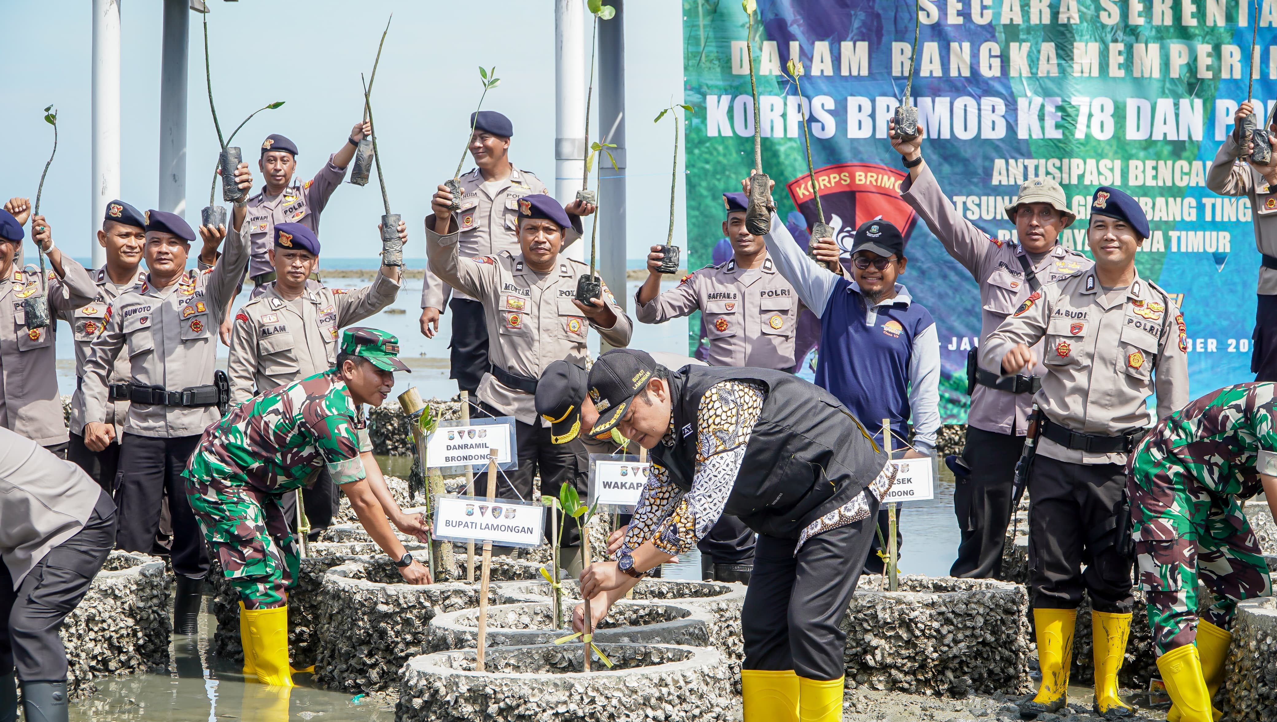 Dua Ribu Pohon Mangrove Ditanam di Lamongan untuk Restorasi Lingkungan