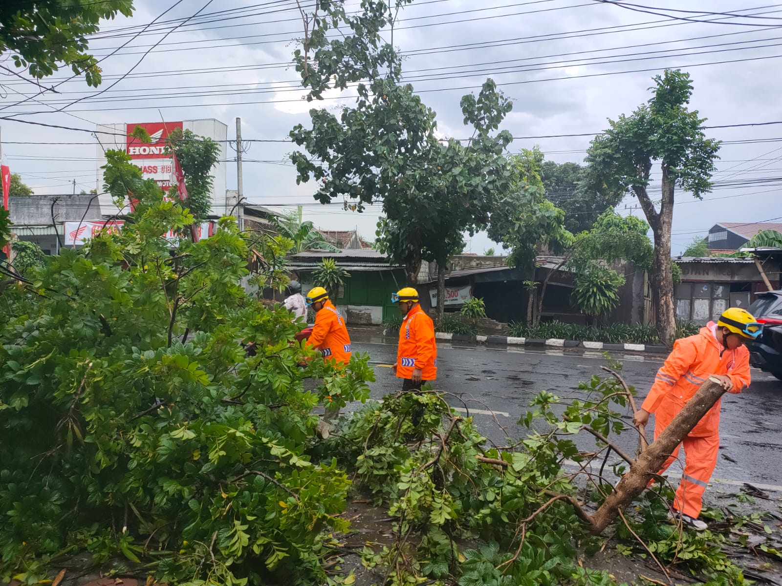 Hujan Angin di Tulungagung, Rumah Rusak dan Pohon Tumbang di Lima Kecamatan