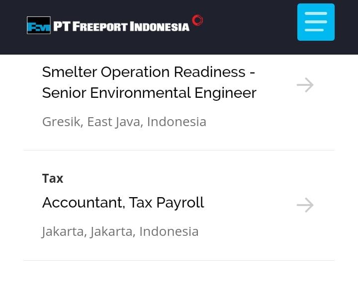 Ada Lowongan Akuntan Tax Payroll di PT Freeport Indonesia, Lulusan Ekonomi Buruan
