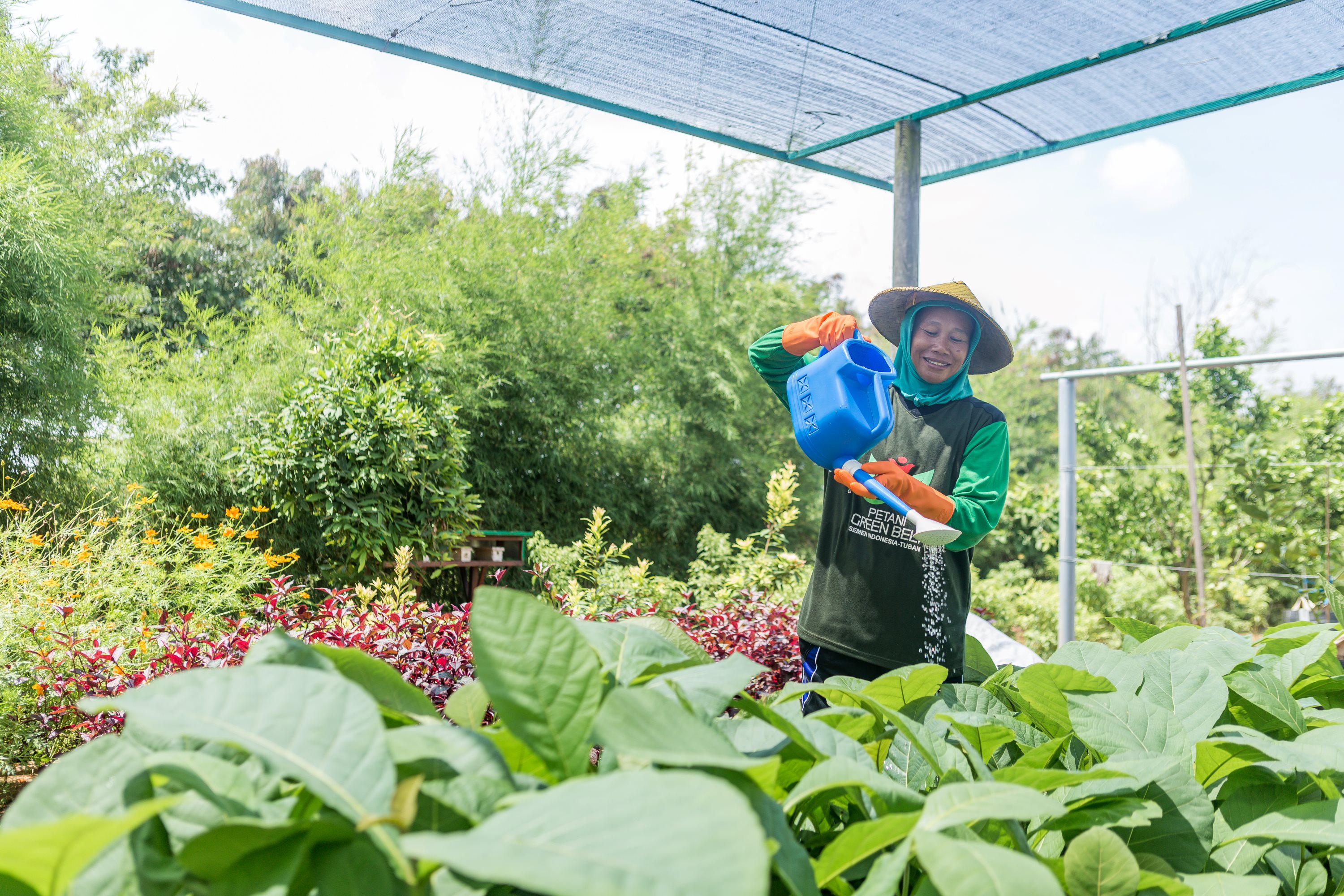 SIG Tanam Lebih dari 500 Ribu Pohon di Lahan Pascatambang Pabrik Tuban