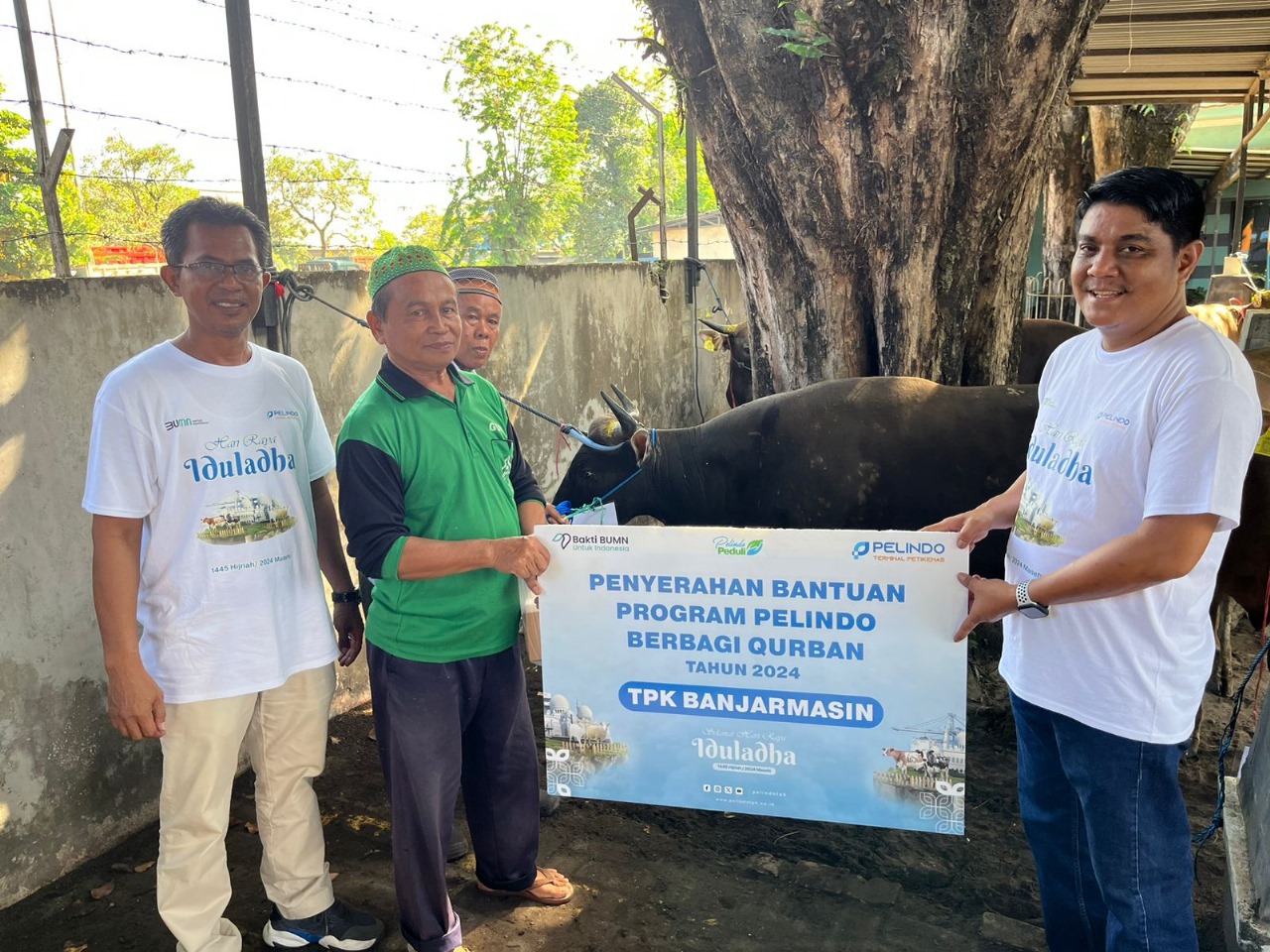 Jelang Idul Adha 1445 Hijriah, Pelindo Petikemas Salurkan 215 Hewan Kurban