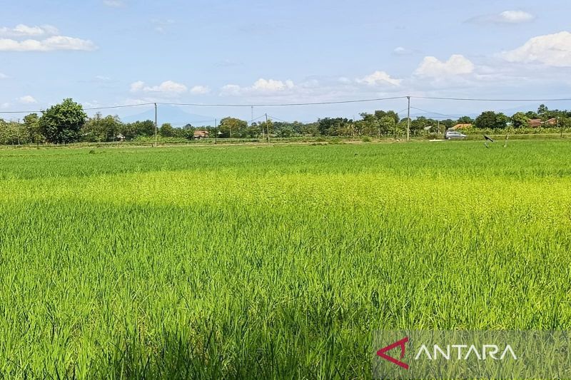 Mewujudkan Keamanan Pangan dengan Menggandeng Aparat Hukum