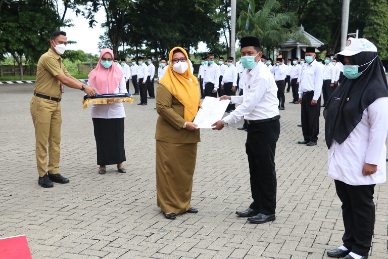 Ada Solusi Bagi Honorer yang Tidak Lolos Seleksi PPPK