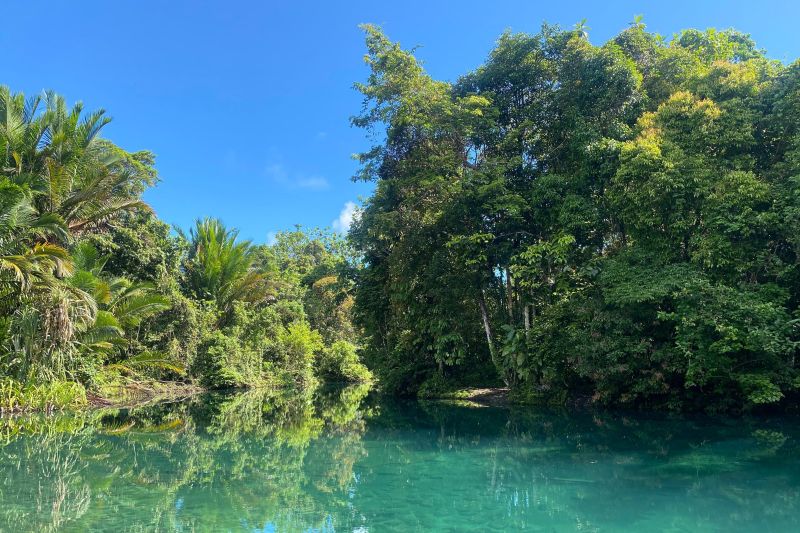 Menjaga dan Melestarikan Hutan di Sorong Selatan, Nemberikan Hadiah Bagi Dunia 