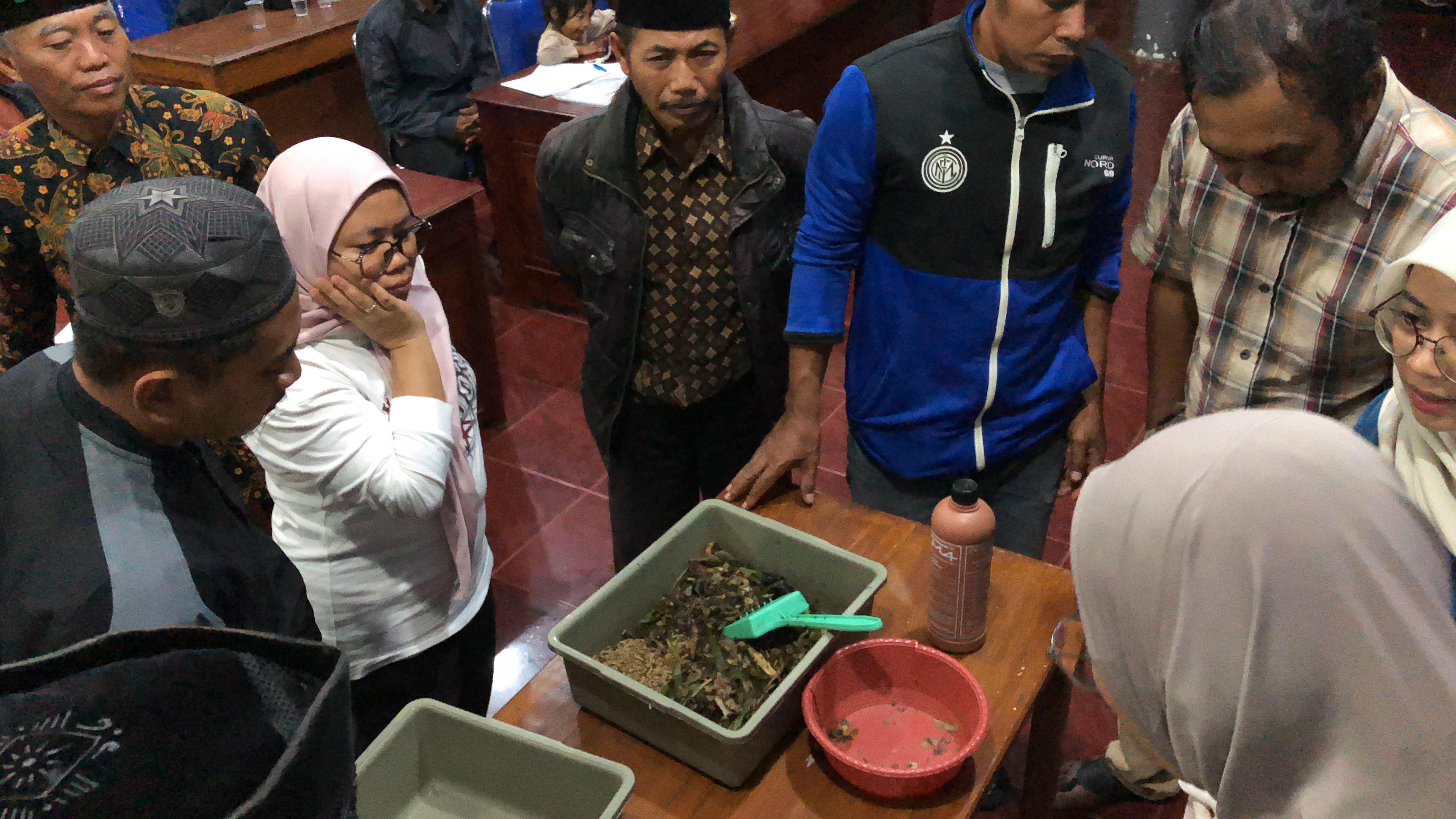 Solusi Sampah Desa Tamiajeng Mojokerto: Mahasiswa Unair Kembangkan Budidaya Maggot