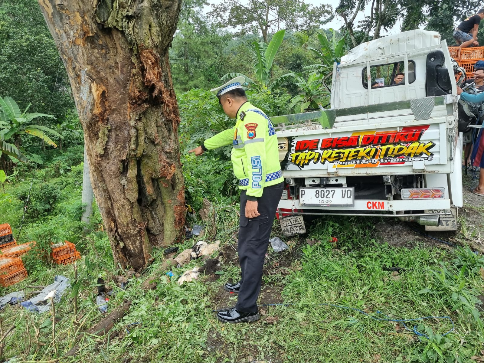 Mobil Pikap Isuzu Traga Kecelakaan Tunggal di Jember, Sopir Tewas di Tempat