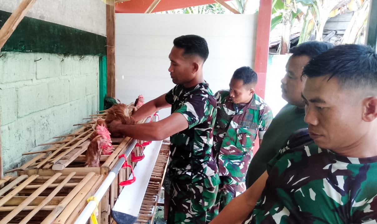 Dukung Ketahanan Pangan, Koramil Jajaran Kodim 0813 Bojonegoro Budi Daya Ayam Petelur