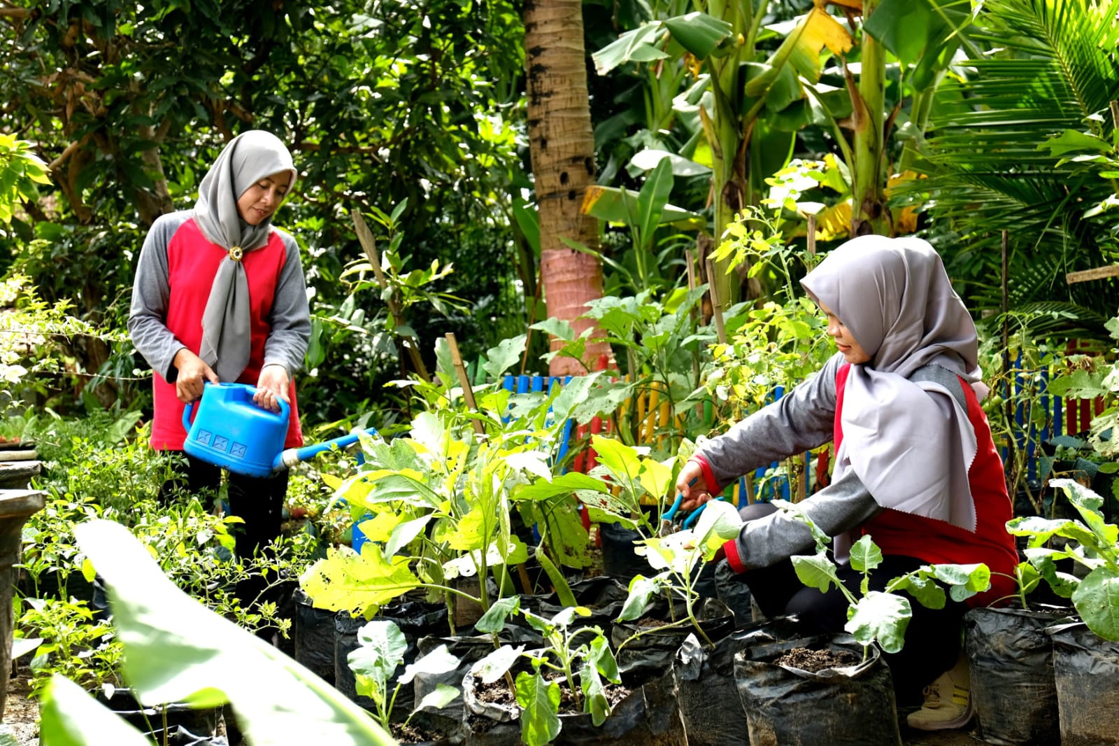 Tidak Hanya Melestarikan Lingkungan, Program Keberlanjutan SIG Serap 20 Ribu Tenaga Kerja