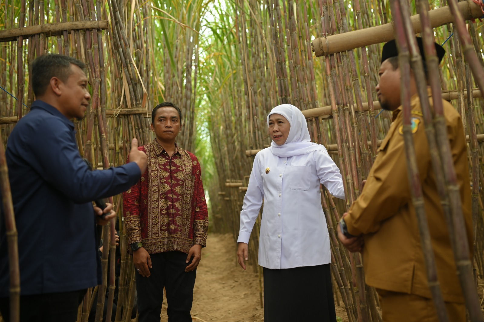 SGN Bersama Gubernur Jatim Luncurkan KUR Khusus Tebu di Bondowoso