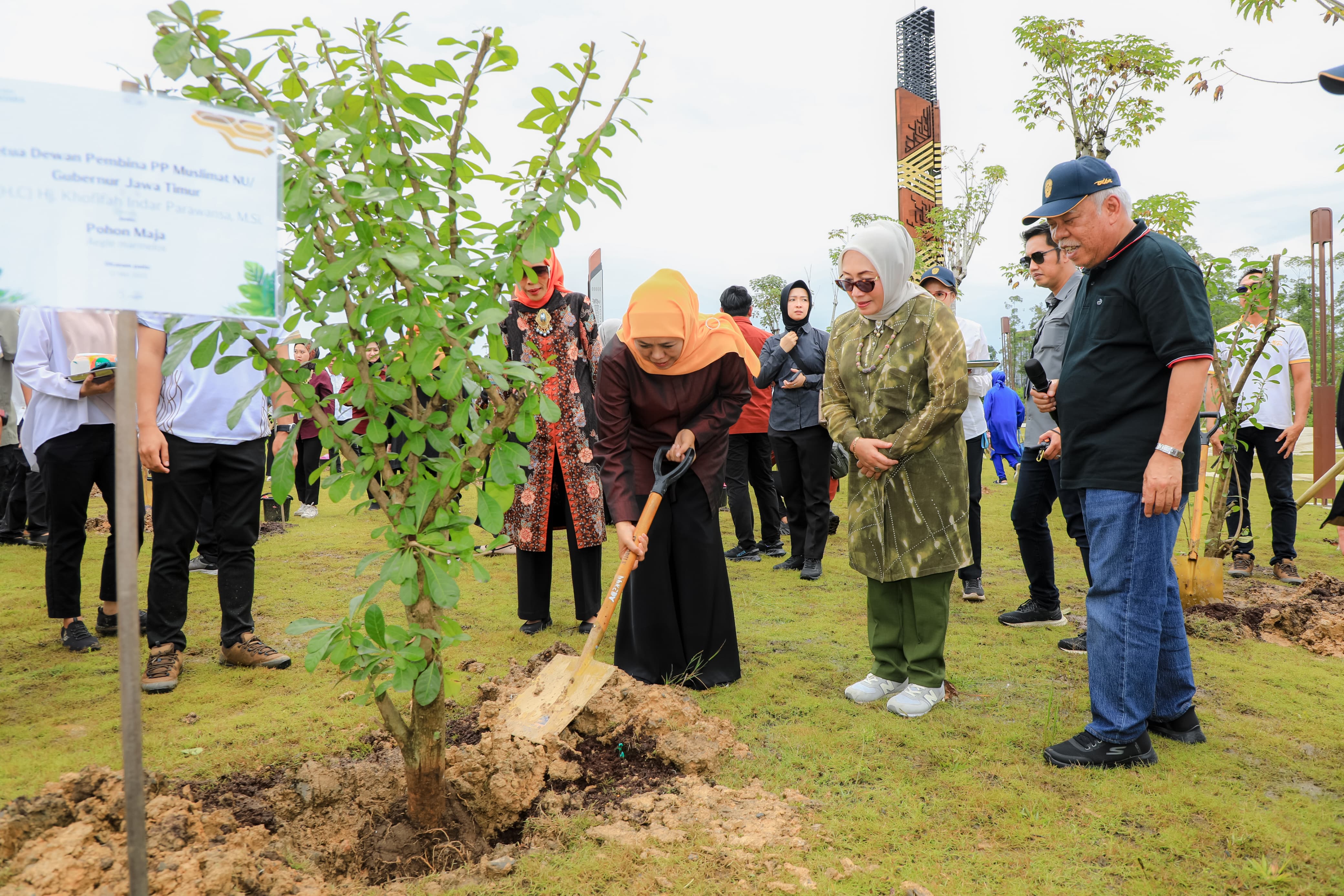 Gubernur Khofifah Tanam Pohon Maja di IKN