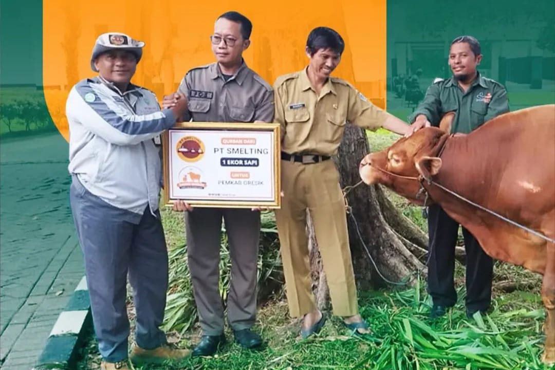 Sinergi dan Berkah Iduladha, PT Smelting Salurkan Enam Sapi dan Lima Kambing ke Sebelas Lokasi Gresik