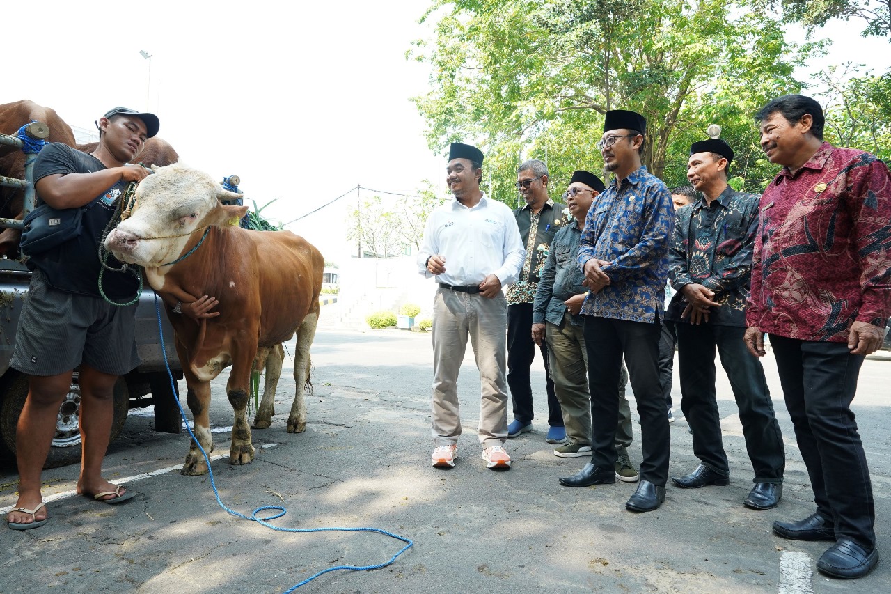 Berkah Idul Adha 1446 H, SIG Kurban 237 Hewan, 21 Ton Daging Tebar Kebaikan di 20 Provinsi