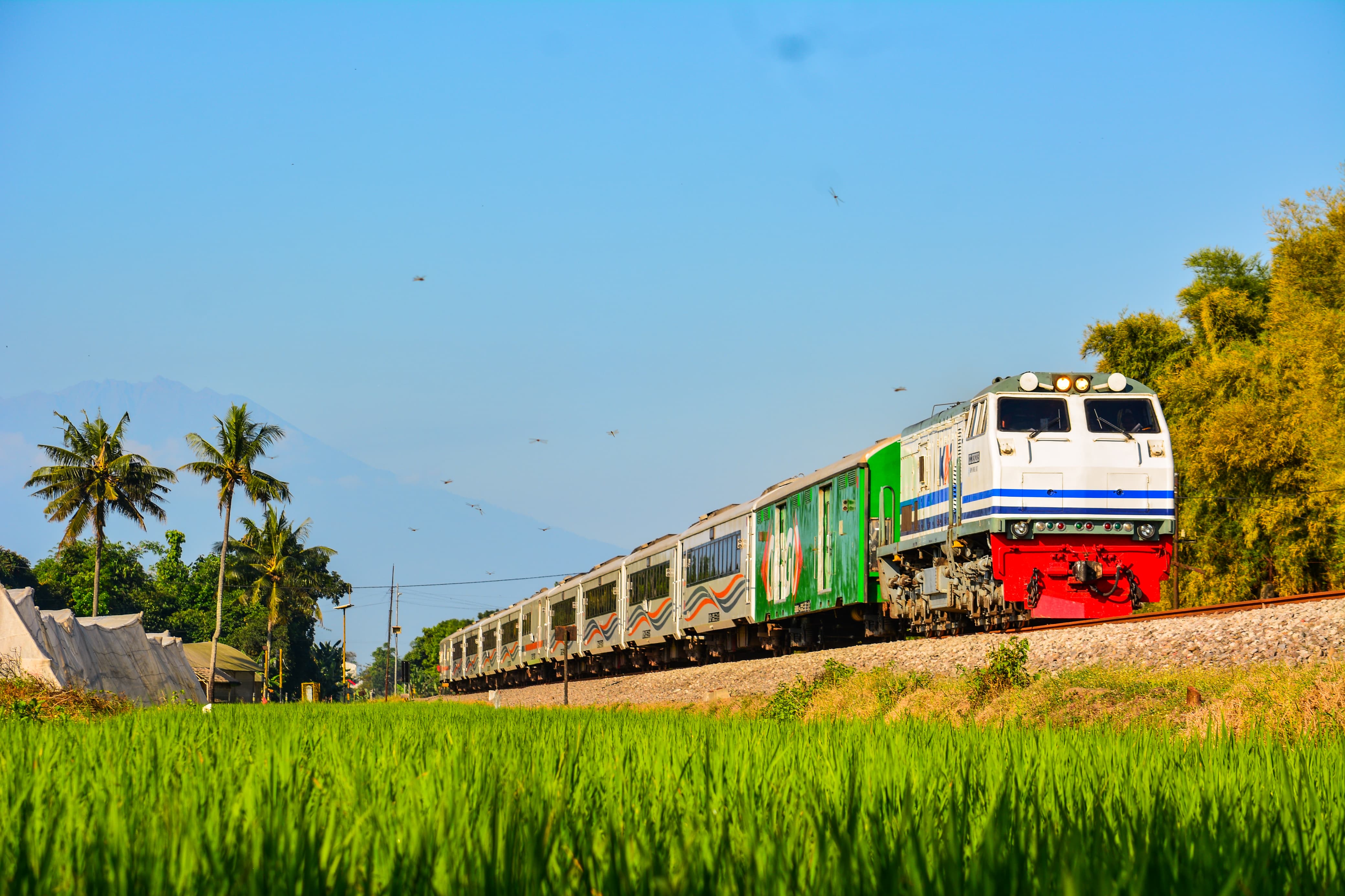 Gunung Raung Erupsi, KAI Daop 9 Jember Pastikan Perjalanan Kereta Api Tetap Aman dan Normal