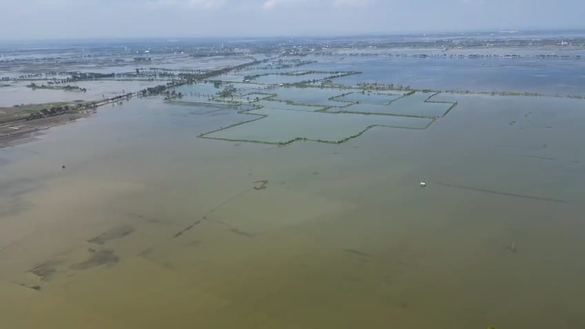 Petani Plumpang Tuban Gagal Tanam, Waduk Jabung dan Bendungan Liar Diduga Jadi Biang Banjir