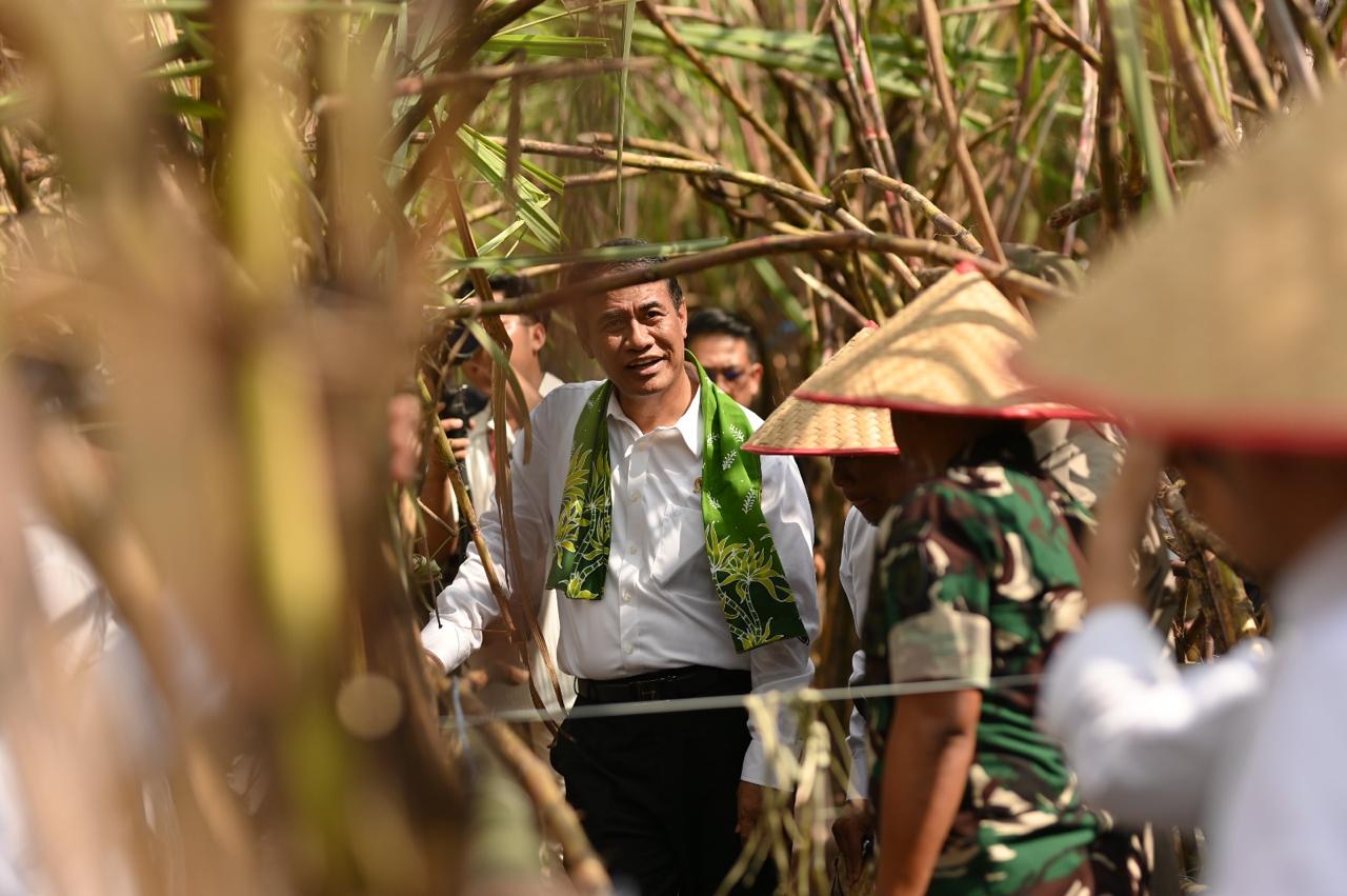 Dorong Swasembada Gula 2028, PT SGN Luncurkan Varietas Tebu Unggul SGN-01