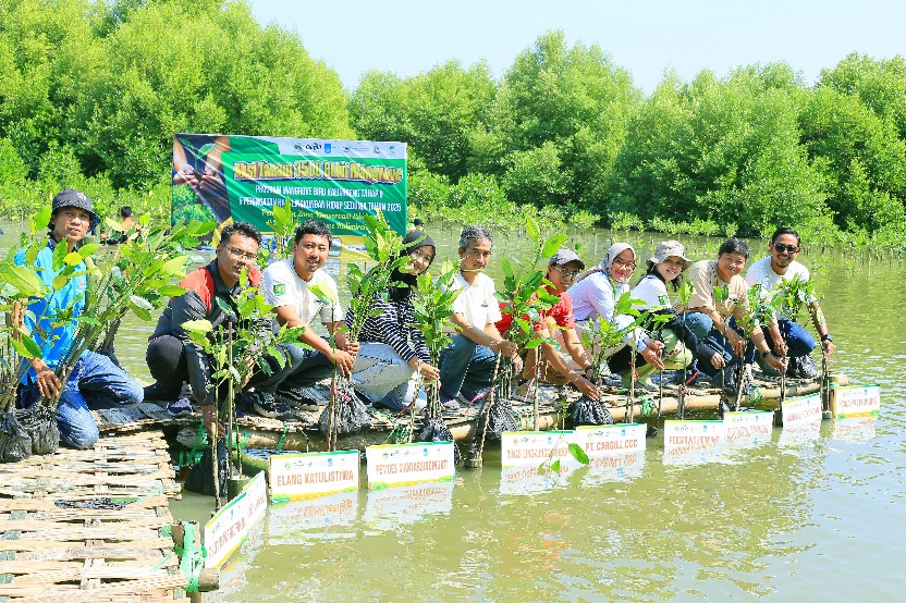 Cargill Tanam 3.500 Bibit Mangrove di Gresik