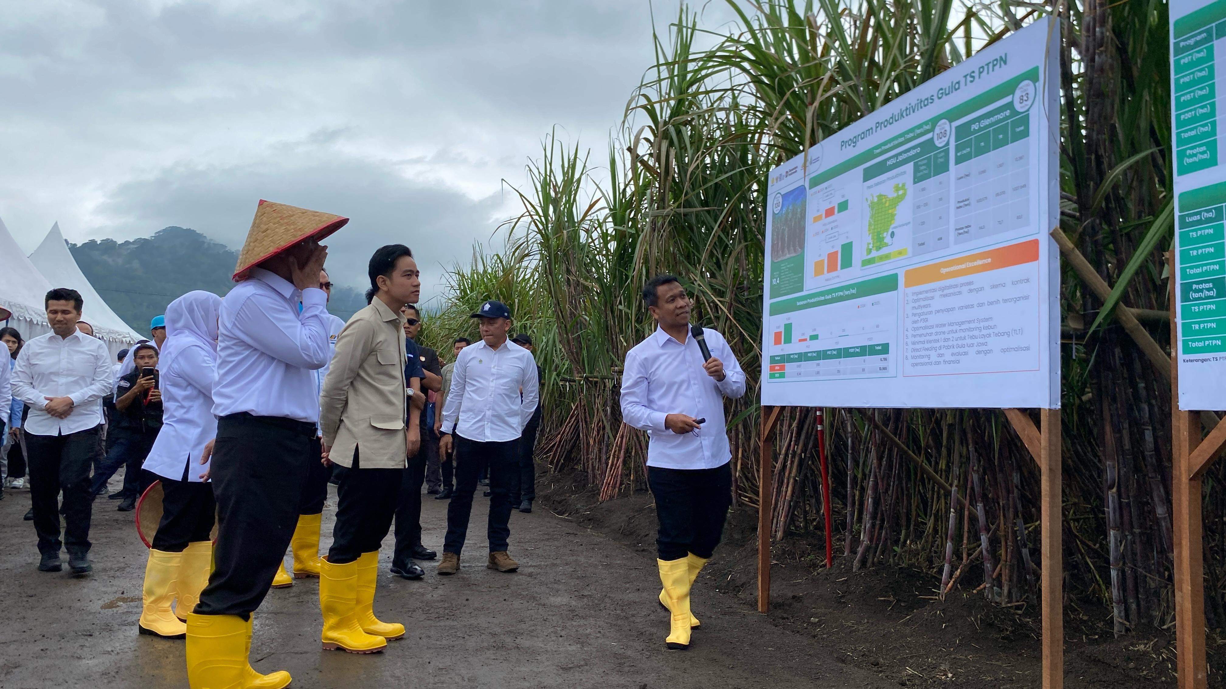 Wapres Gibran Kunjungi Kebun Tebu Jolondoro, Tegaskan Komitmen Pemerintah Capai Swasembada Gula Nasional