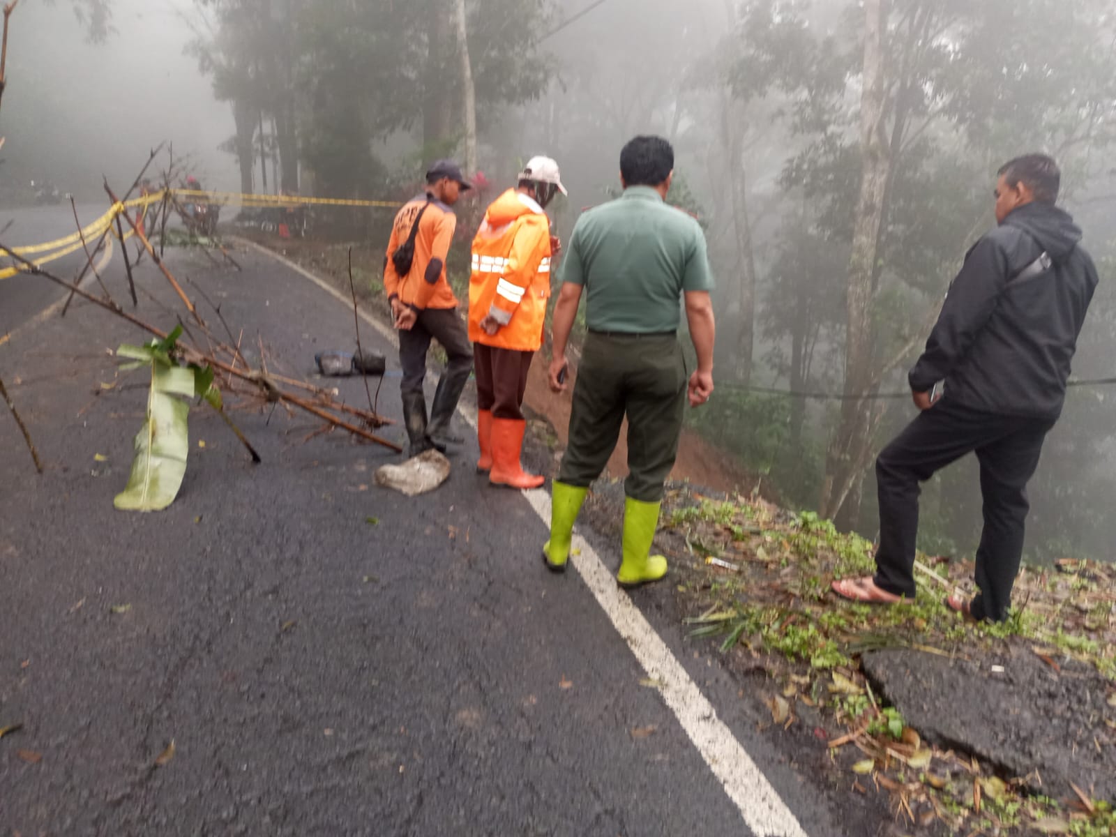 Hujan Deras Picu Longsor di Jalur Nasional Jember-Banyuwangi, Arus Lalin Diberlakukan Buka Tutup