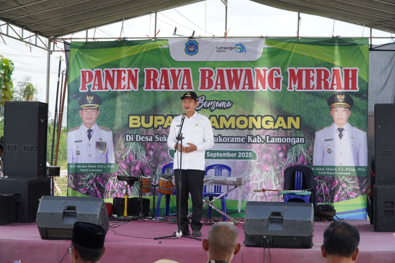 Panen Raya Bawang Merah, Bupati Yes Dorong Diversifikasi Pertanian untuk Ketahanan Pangan Lamongan
